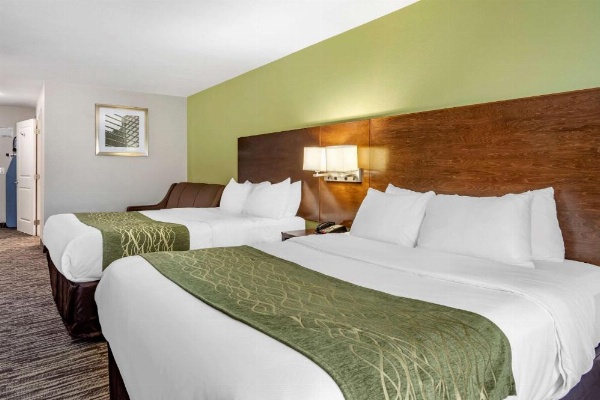 Comfort Inn & Suites North Little Rock JFK Blvd image 15